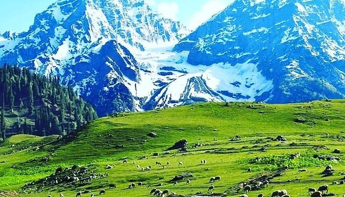 Kashmir
